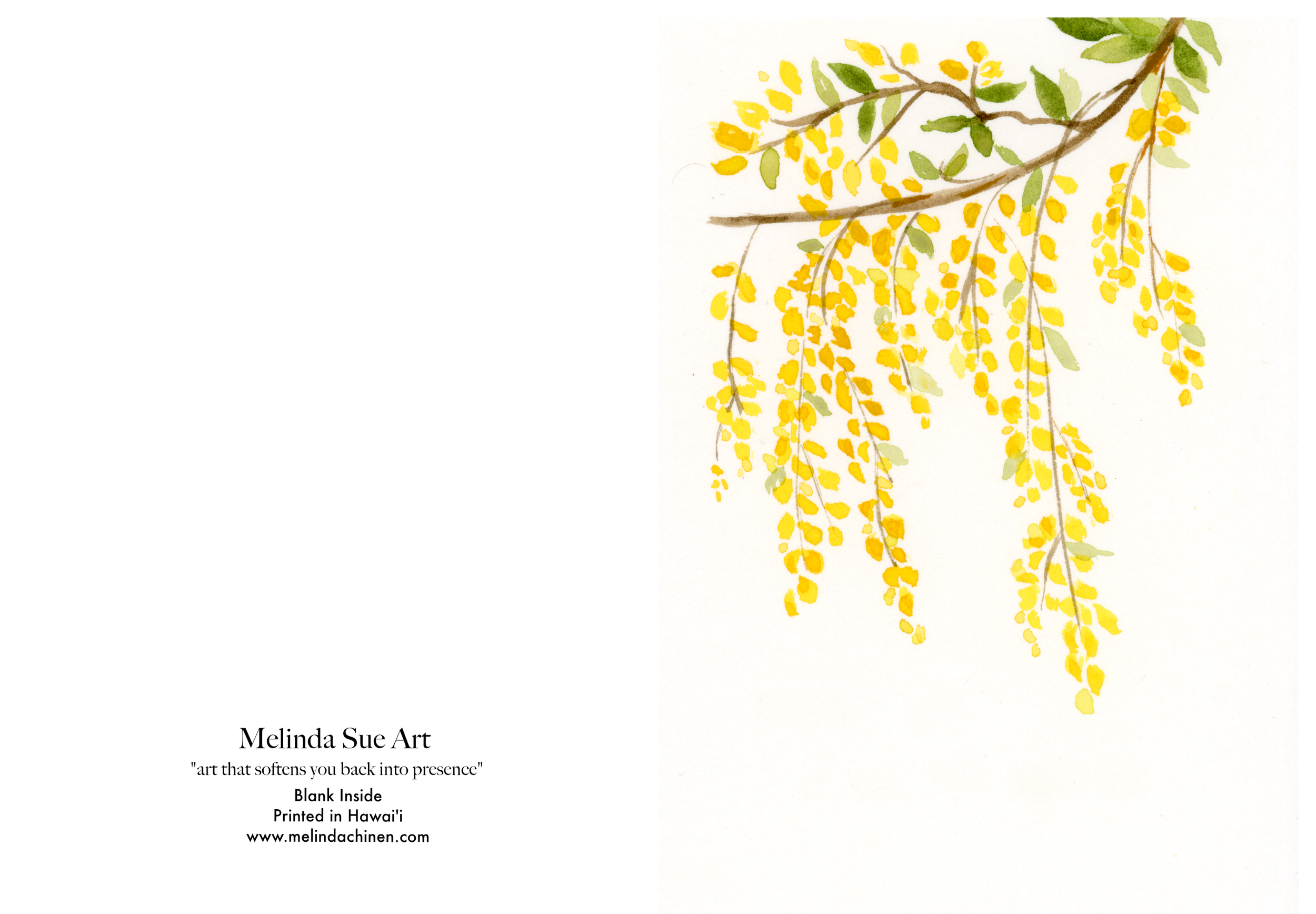 YellowWillowFinalGreeting Card.png