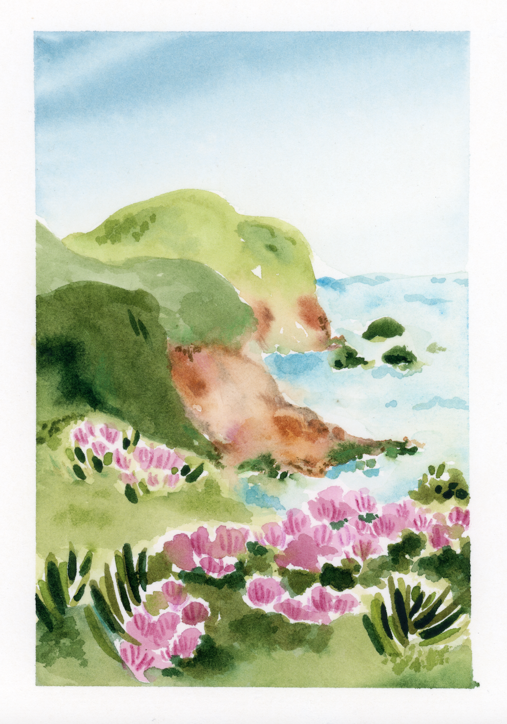 Screen Shot 2026-01-09 at 11.13.46 AM.png