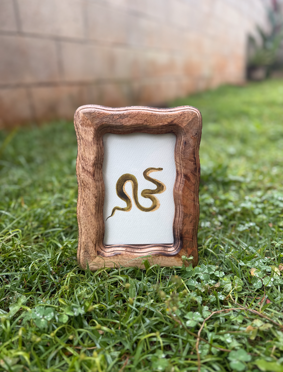 Screen Shot 2026-04-07 at 4.37.20 PM.png (Copy)