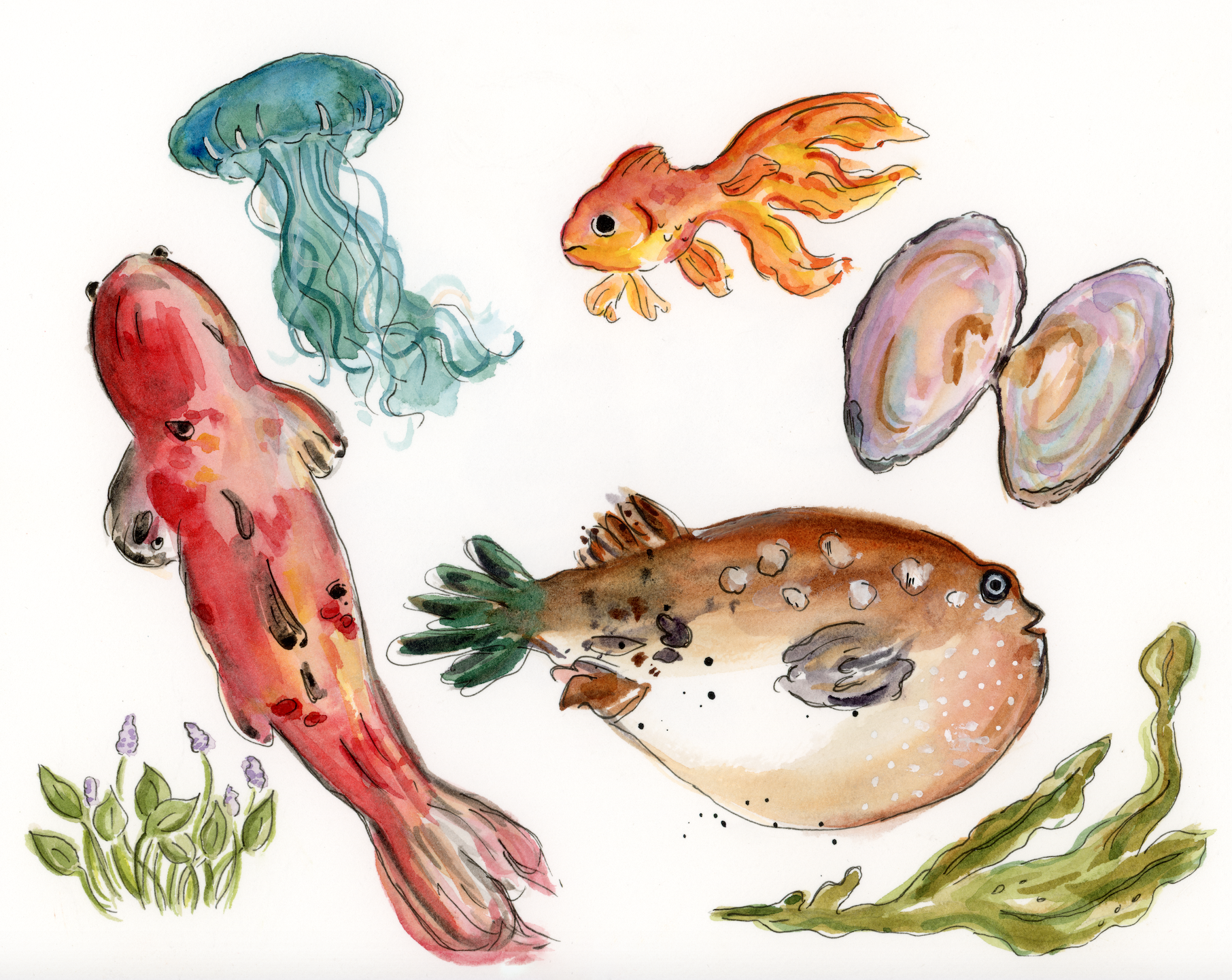 Friends From Different Waters [Print]