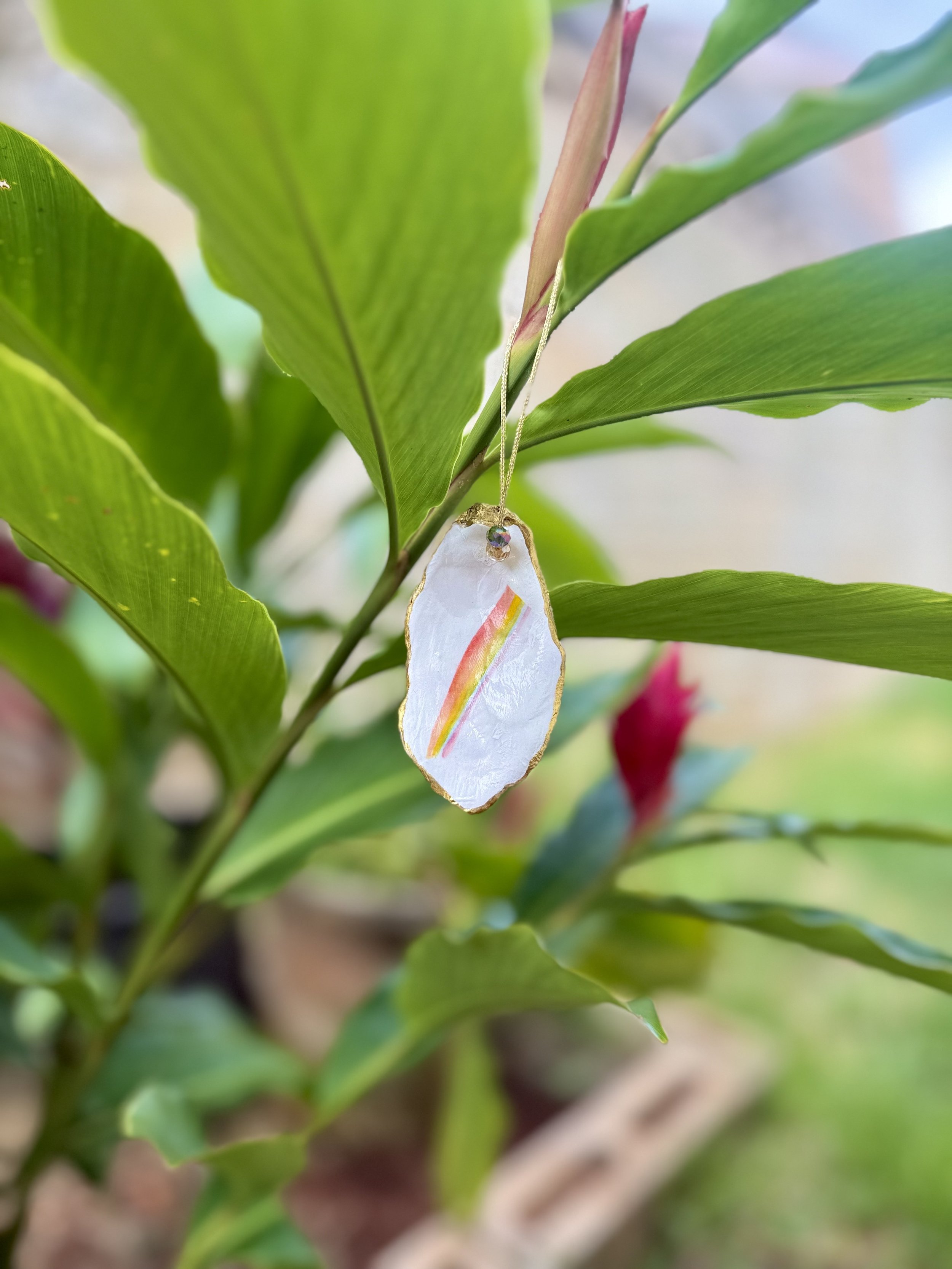 Rainow Oyster Ornament