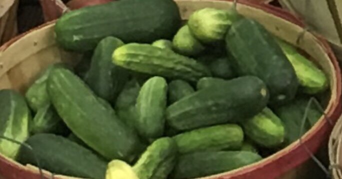 7AC9E5E9-5954-4025-A6E3-415BC40FCF12