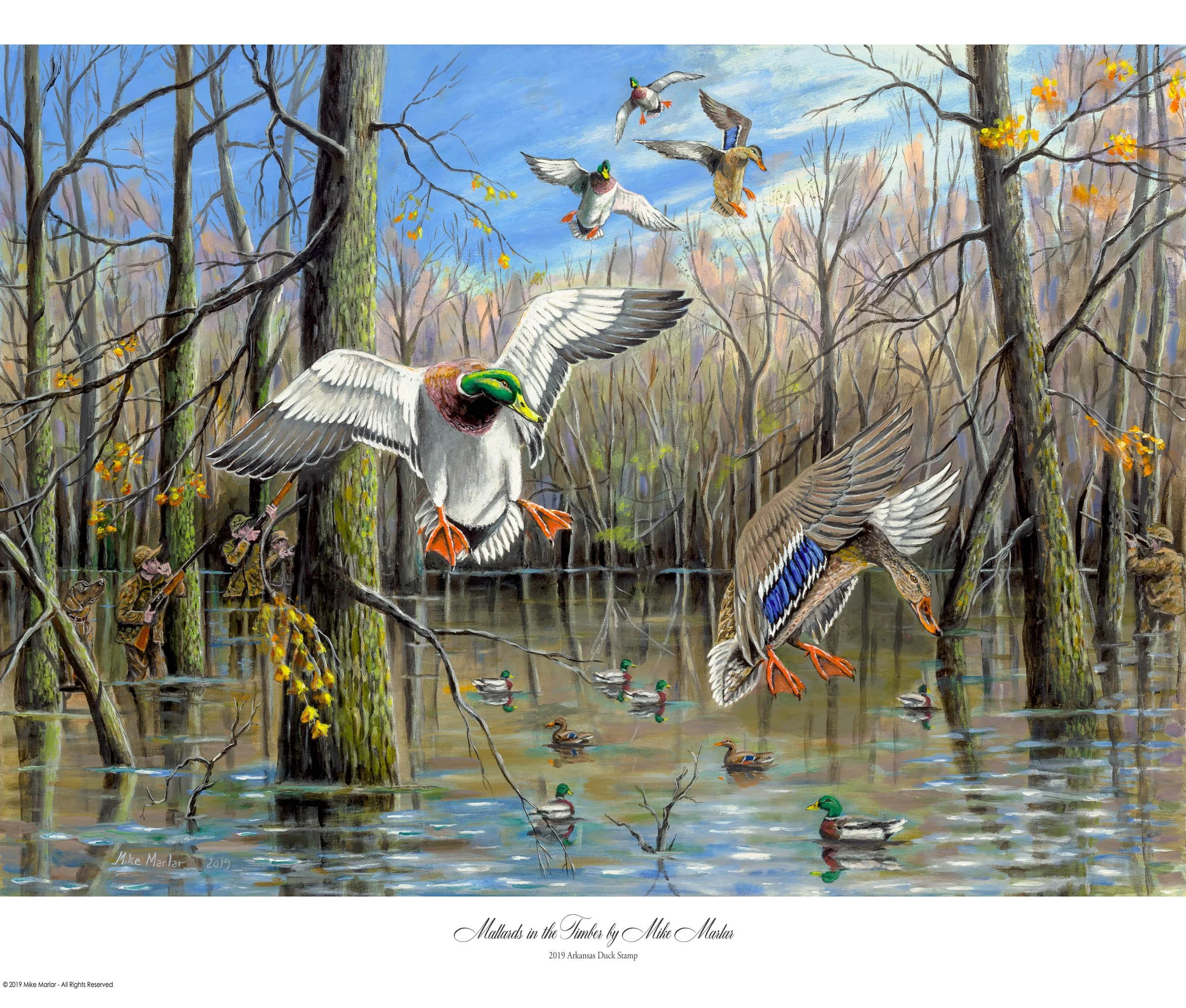 MallardsInTheTimber-printmaster-proof (1).jpeg