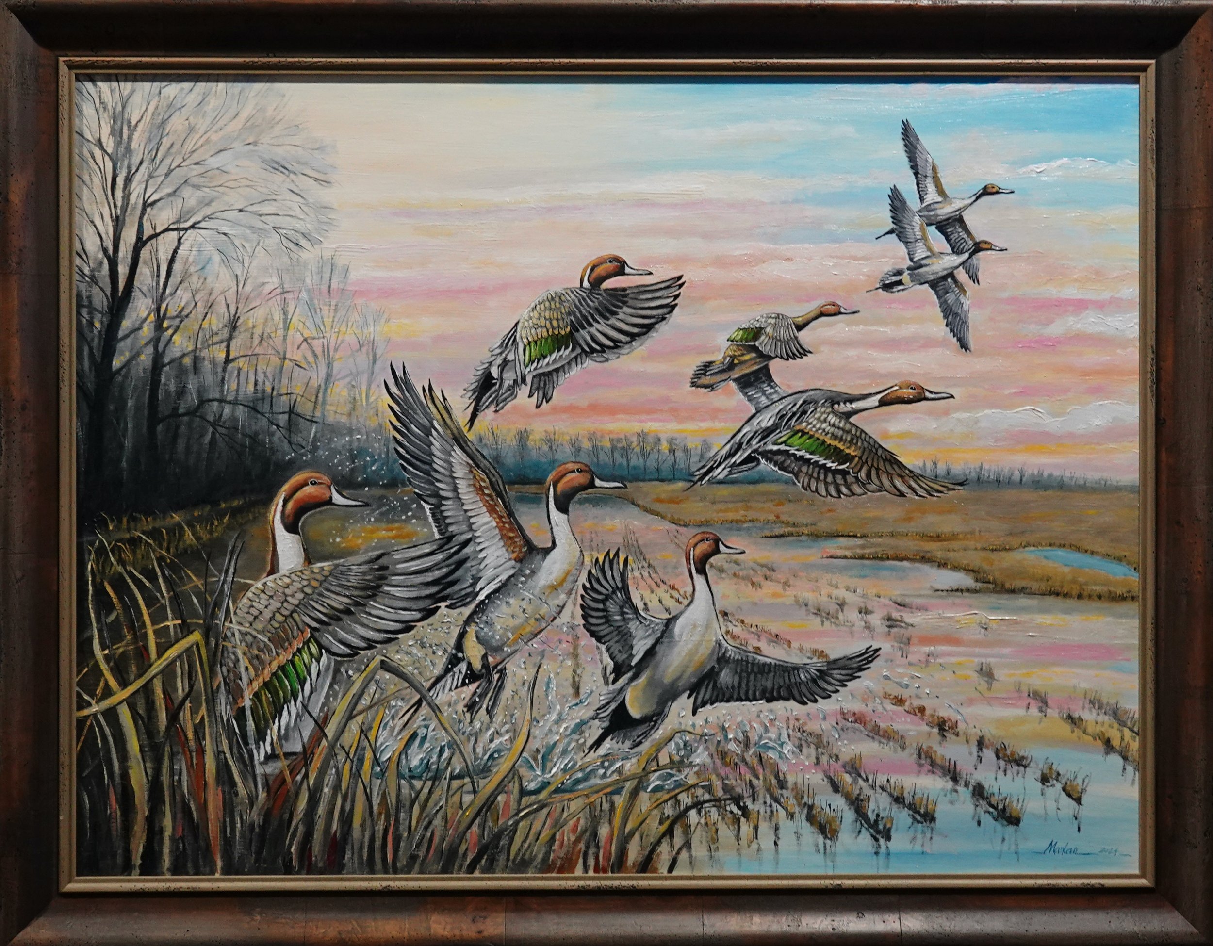 Pintail Morning, 35X45" Framed.