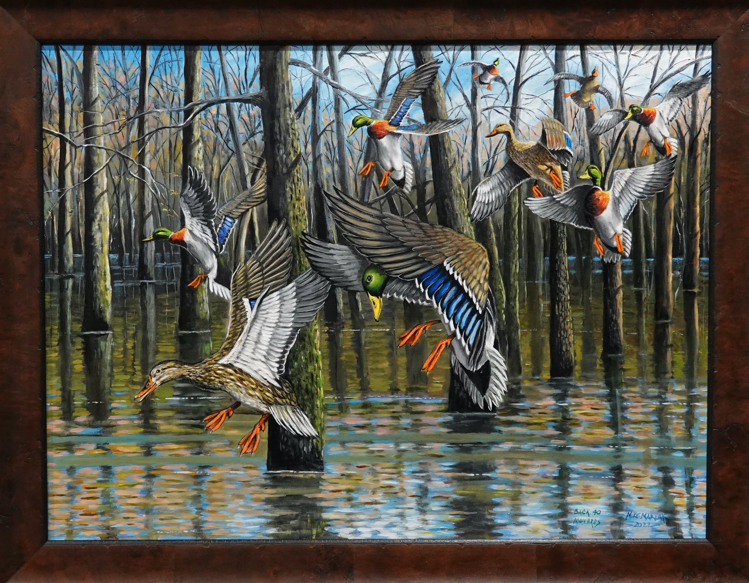BACK 40 MALLARDS, 30X40" -SOLD-