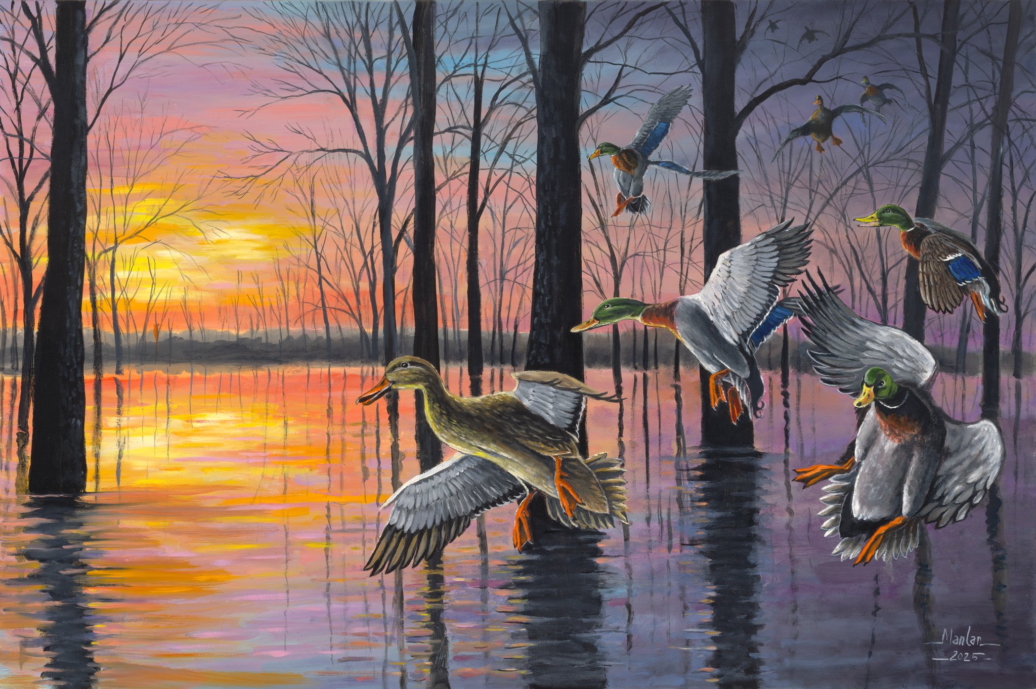 Evening Flight, 24x30"