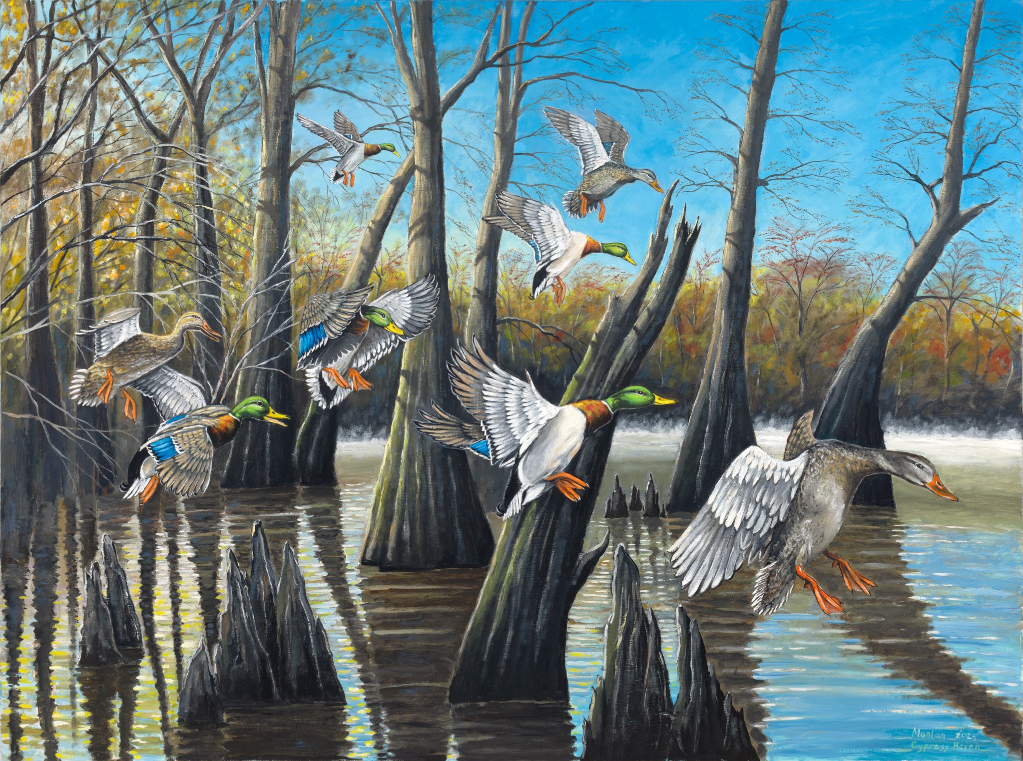 Cypress Haven, 36x48"