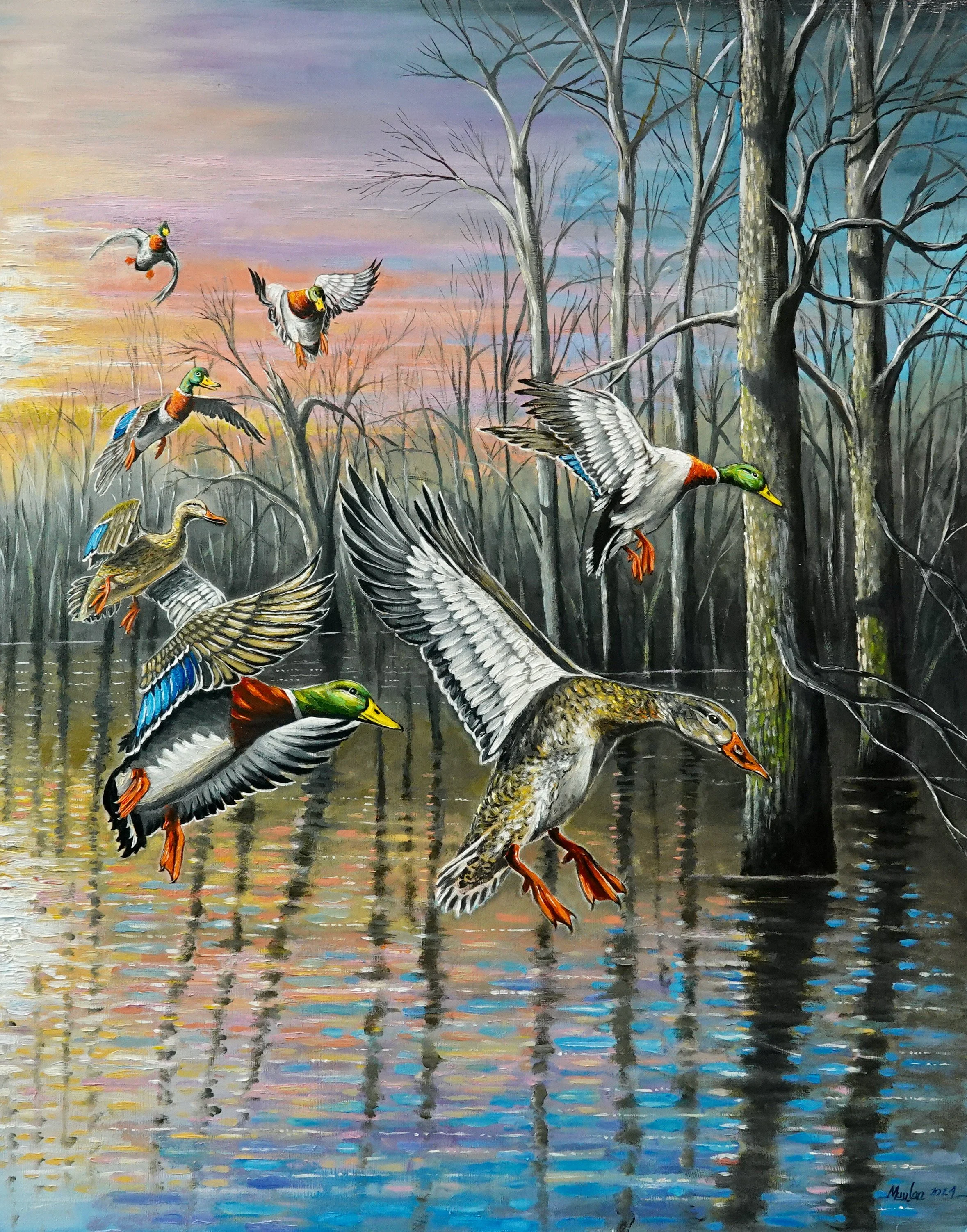 Marlar_Splash Down.jpeg