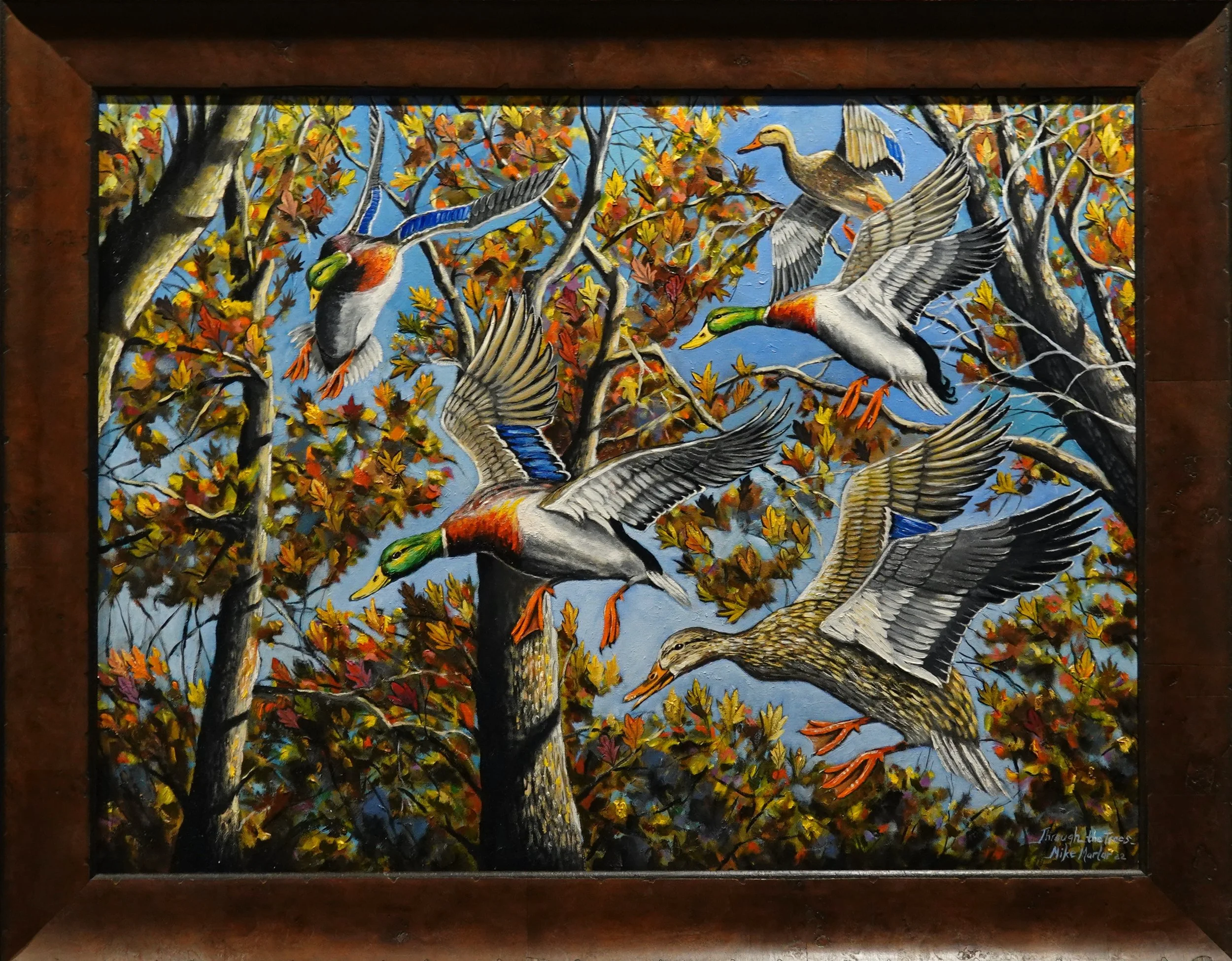 Through The Trees.jpeg