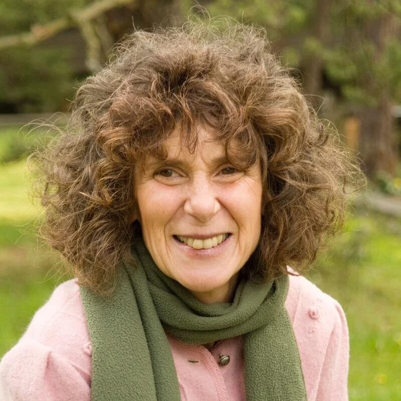 Merna Hecht | Poet & Project Director: Word Travels