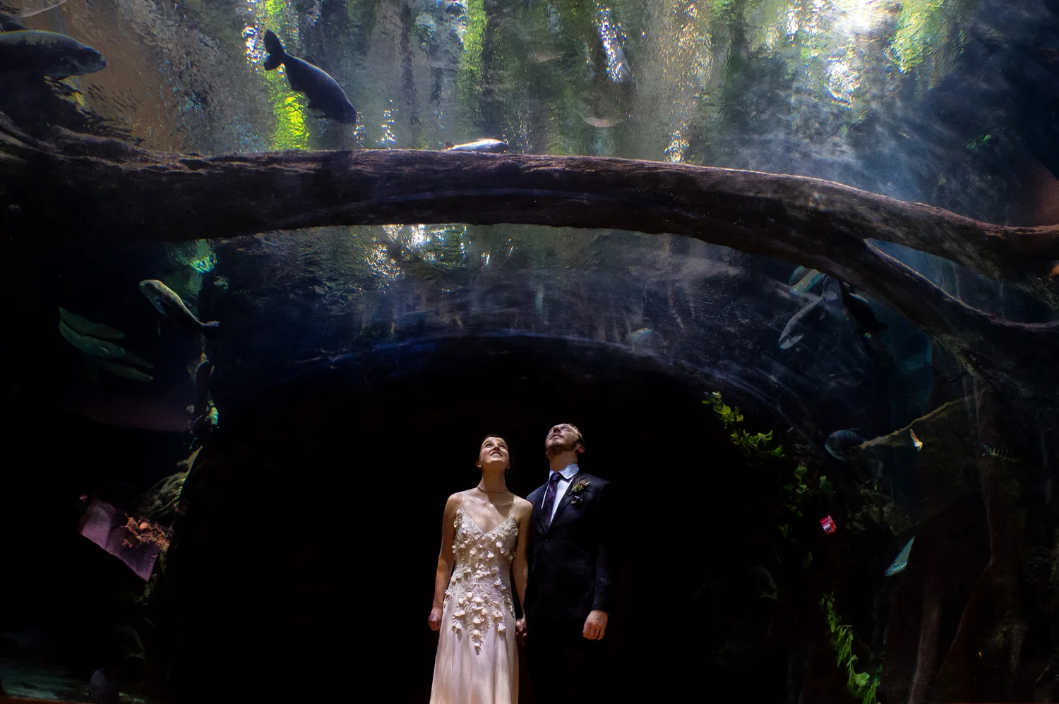 18-acacemy-sciences-wedding.jpg