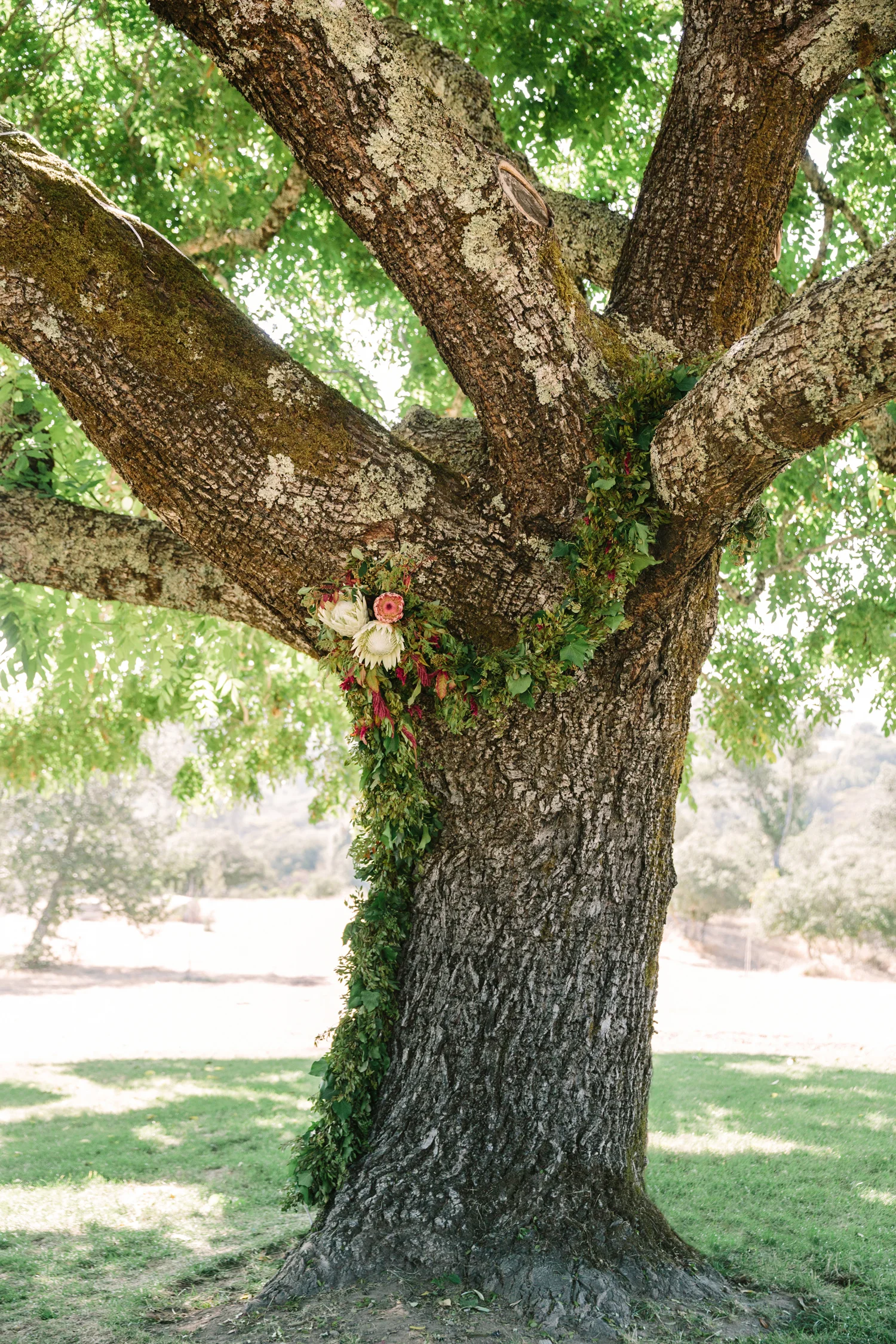 3-protea-wedding-tree-iinstallation.jpg