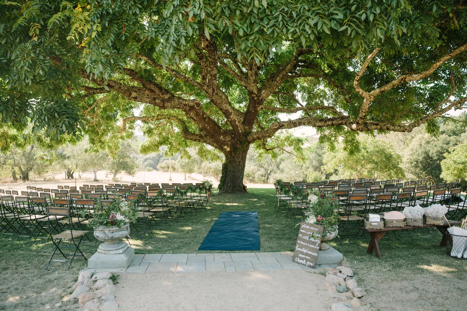 8-wedding-ceremony-under-tree.jpg