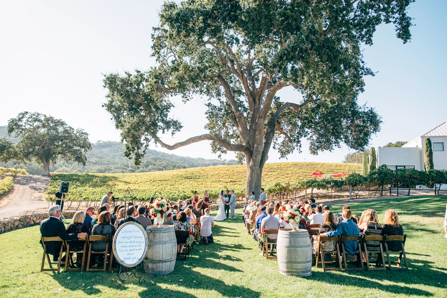6-hammersky-vineyards-wedding-ceremony.jpg