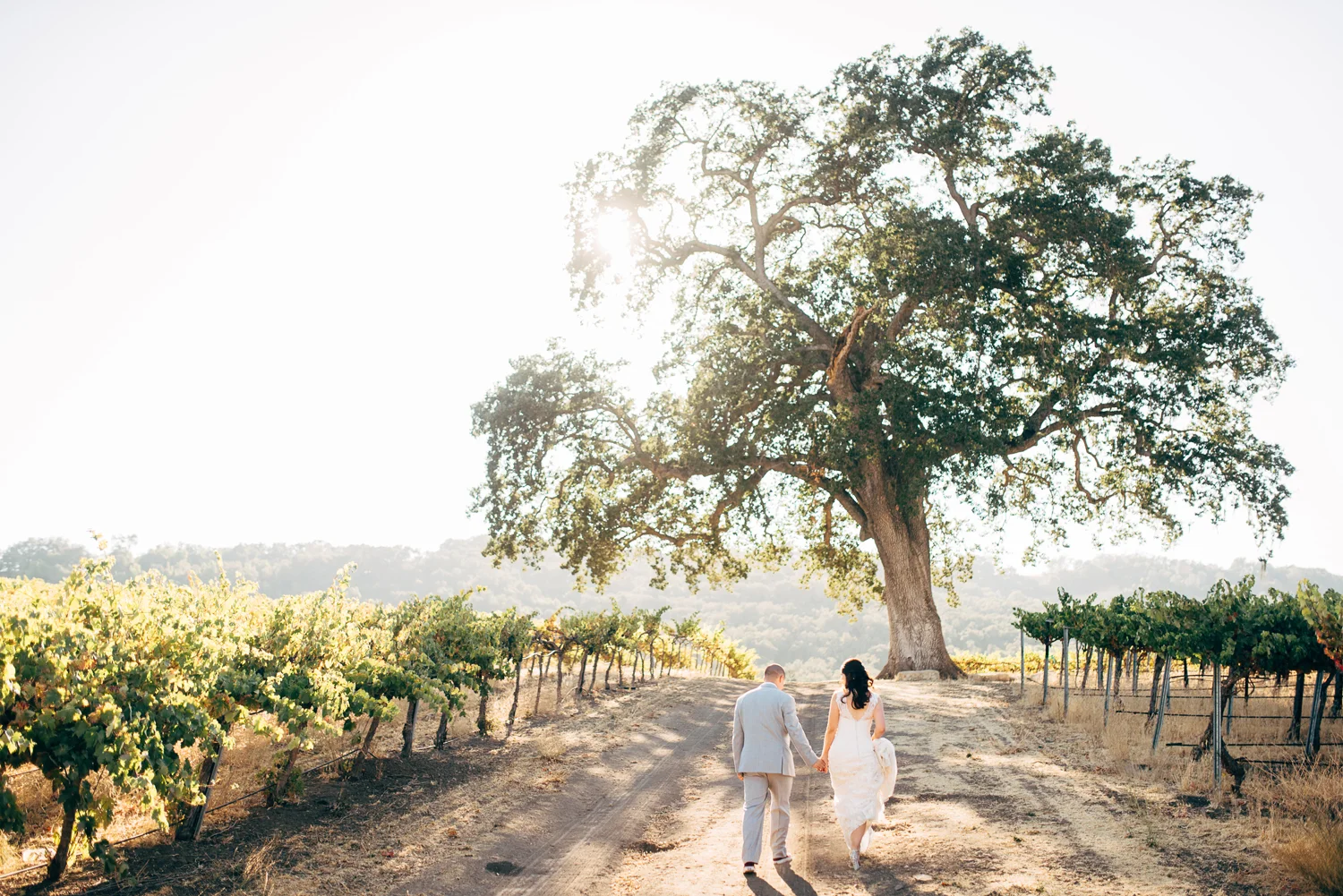10-hammersky-vineyards-wedding.jpg