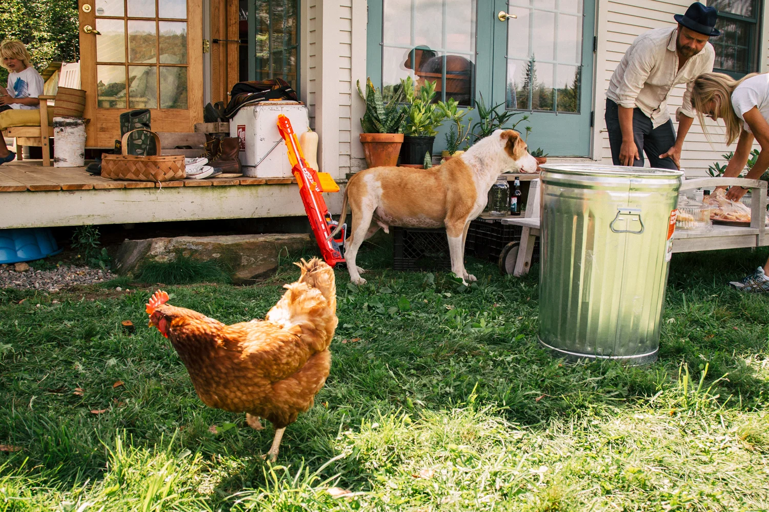 6-chickens-at-wedding.jpg