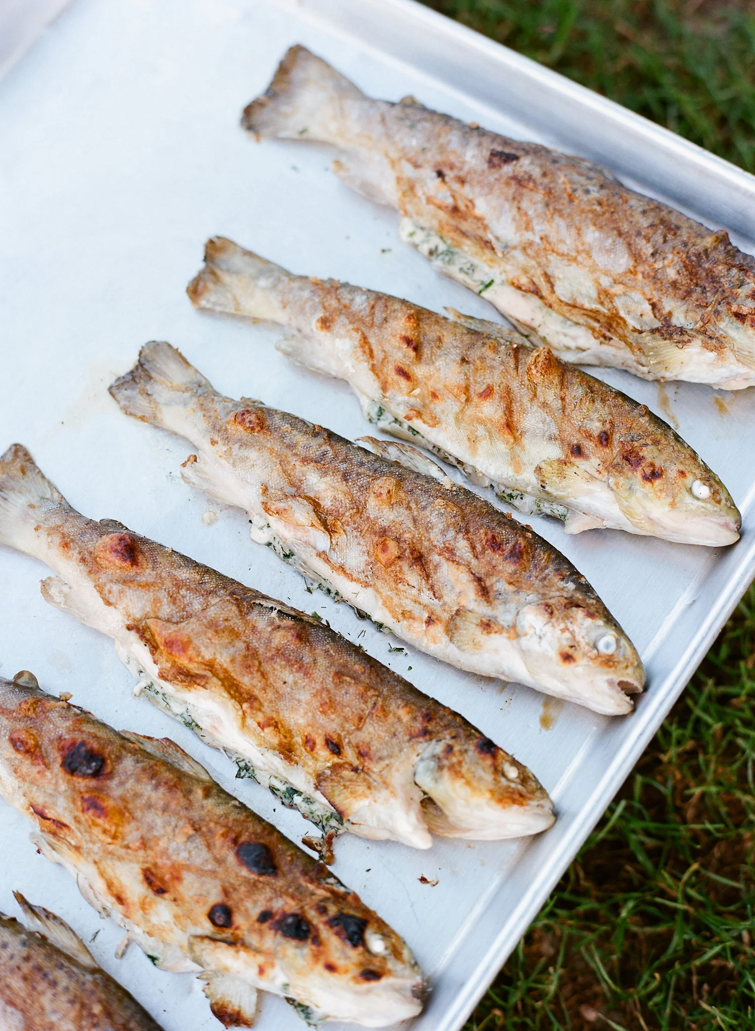 20-whole-roasted-fish-wedding.jpg