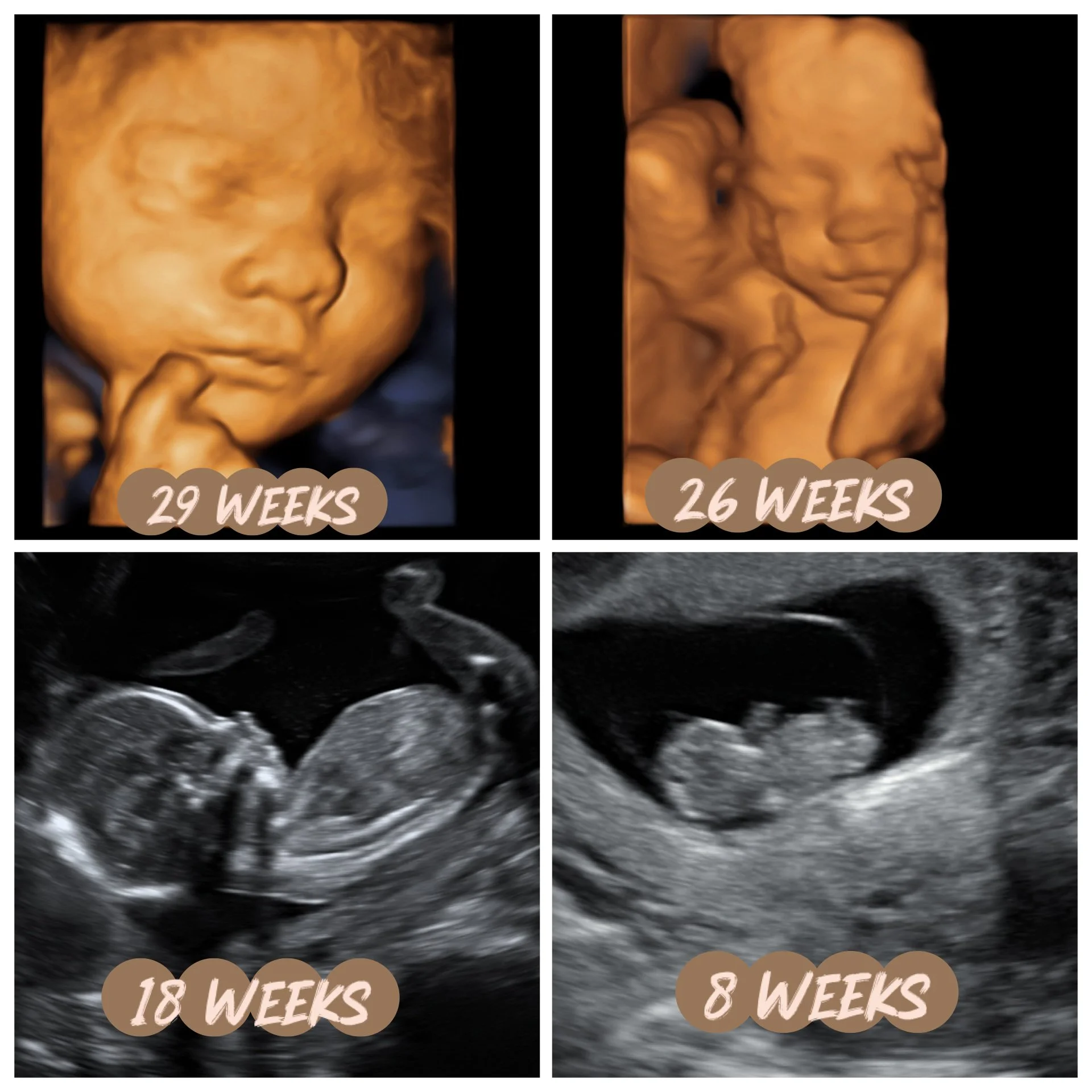 3D/4D/HD Images We Love