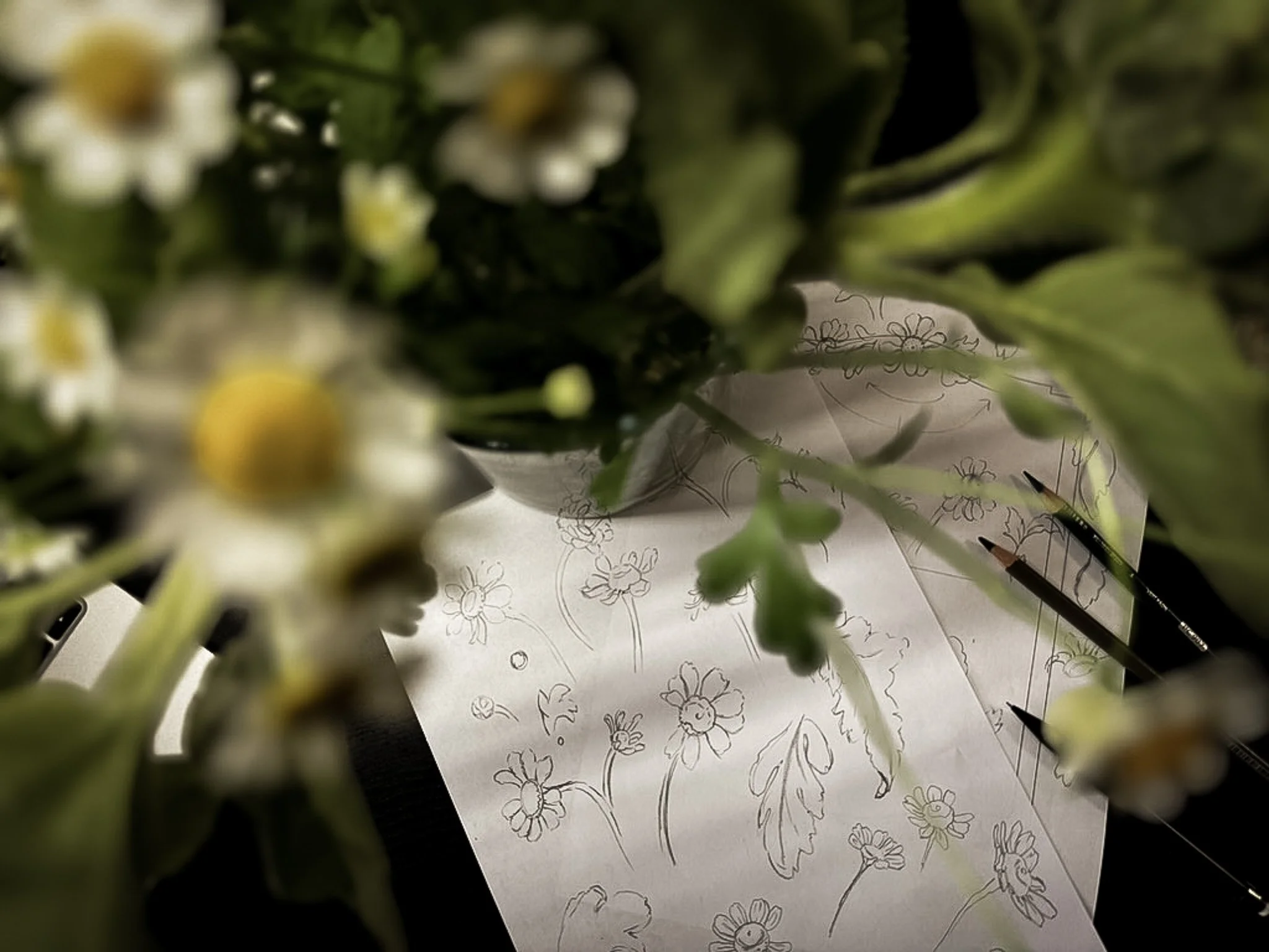 Flowers-BrettaButterfly-Art_13.jpg