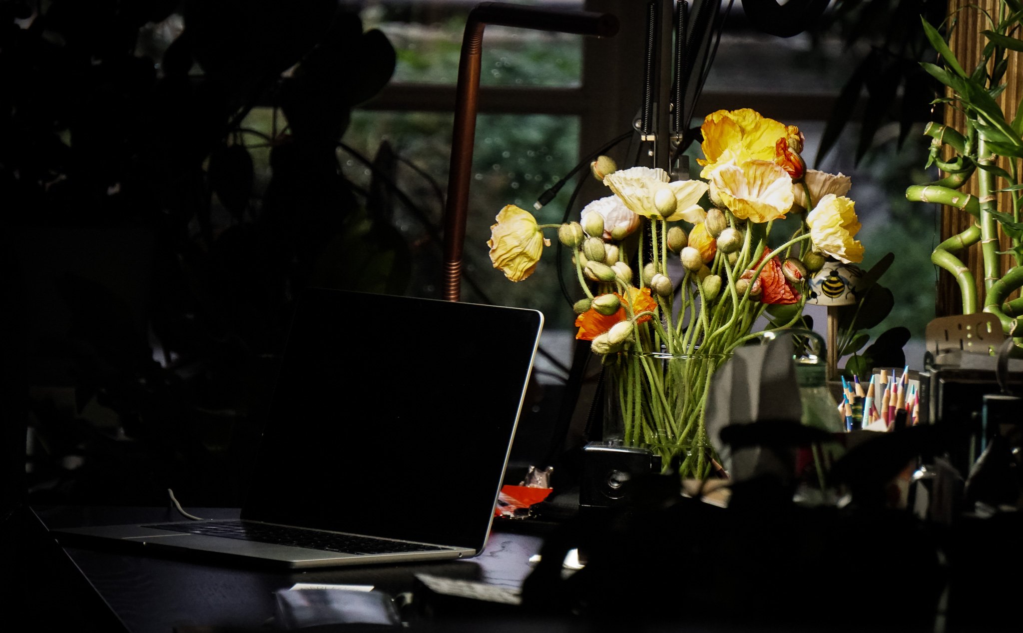Flowers-BrettaButterfly-Art_15.jpg