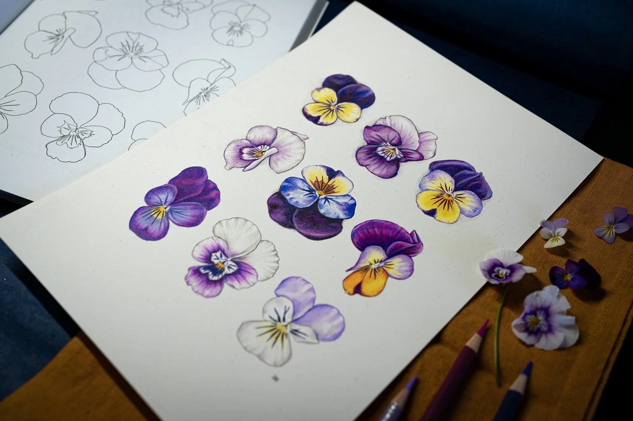 Flowers-BrettaButterfly-Art_56.jpg
