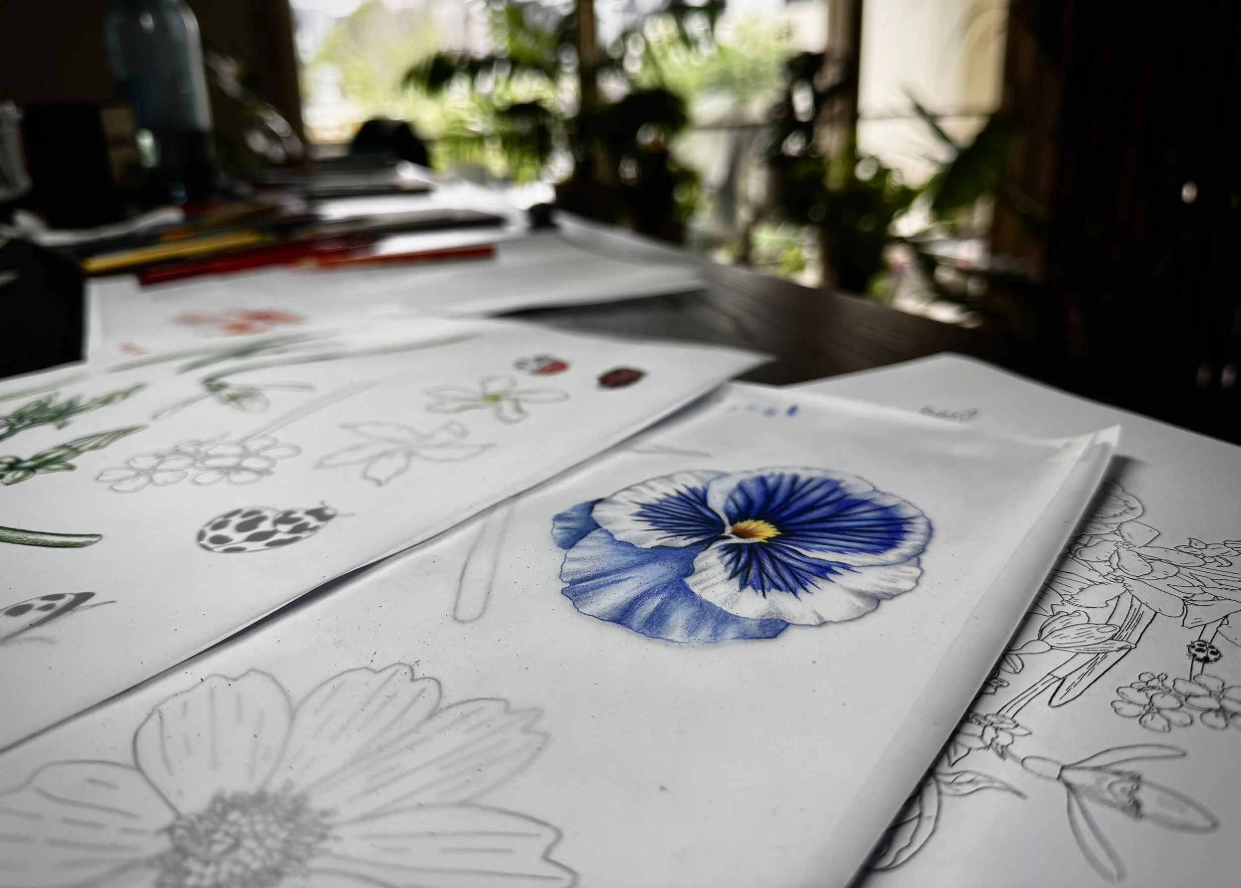 Flowers-BrettaButterfly-Art_18.JPG
