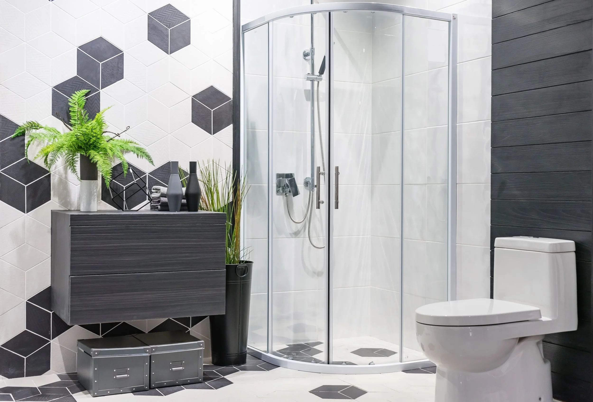 Luxury Shower Doors and Decor