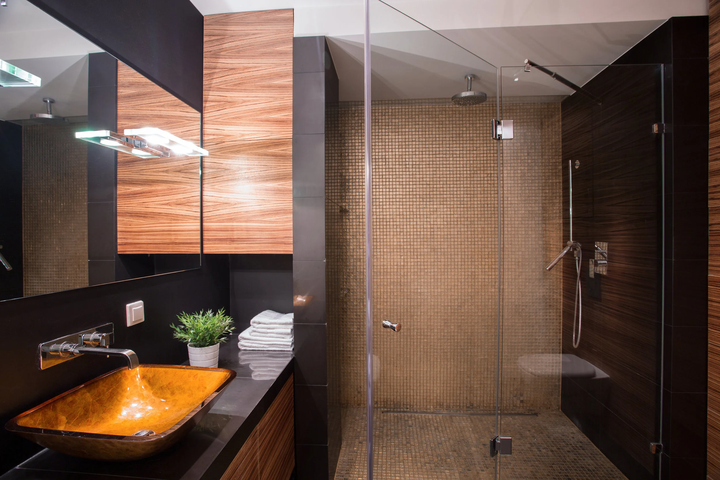 Luxury Shower Doors and Decor