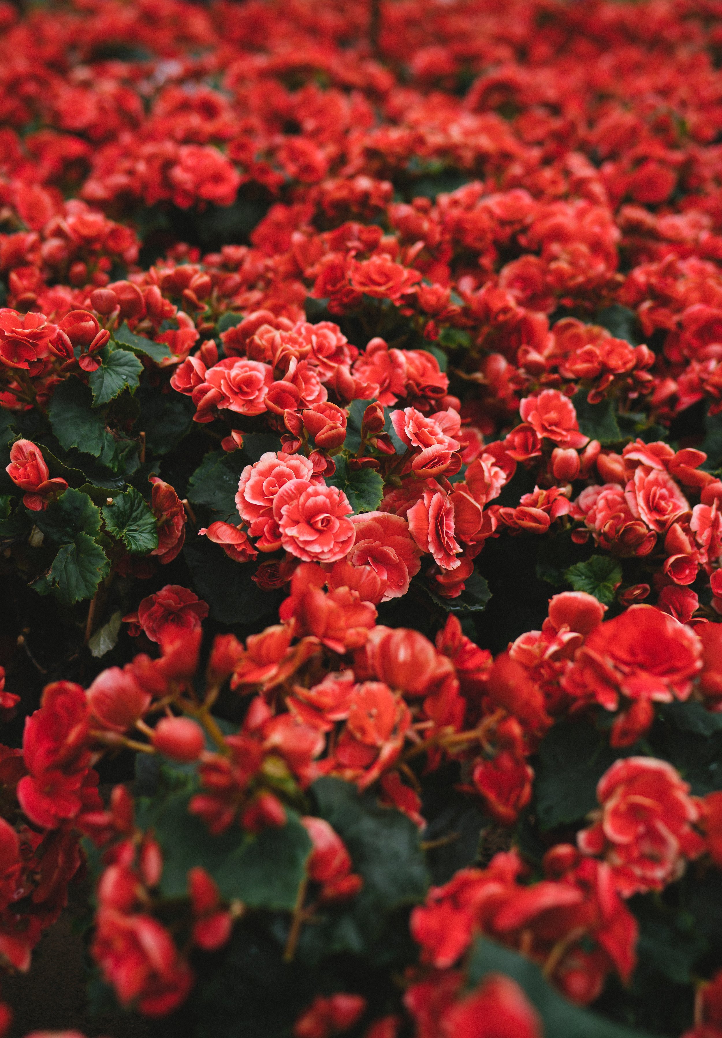 tuan-nguy-n-minh-570922-unsplash.jpg