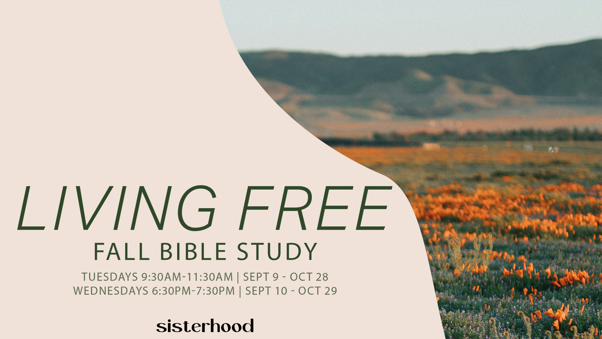 Sisterhood Fall Bible Study