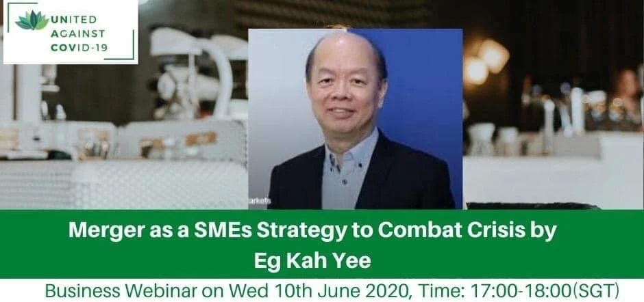Merger as a SMEs Strategy to Combat Crisis