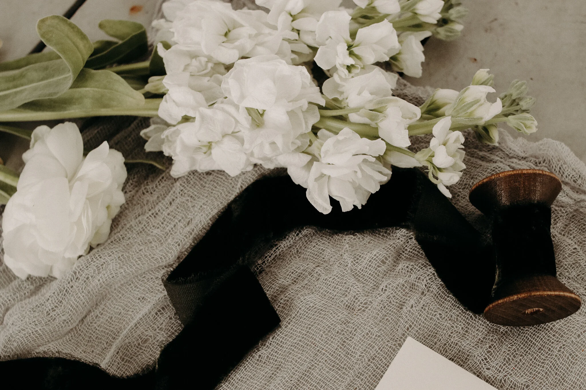 IMG_1791FaithKphotography.jpg