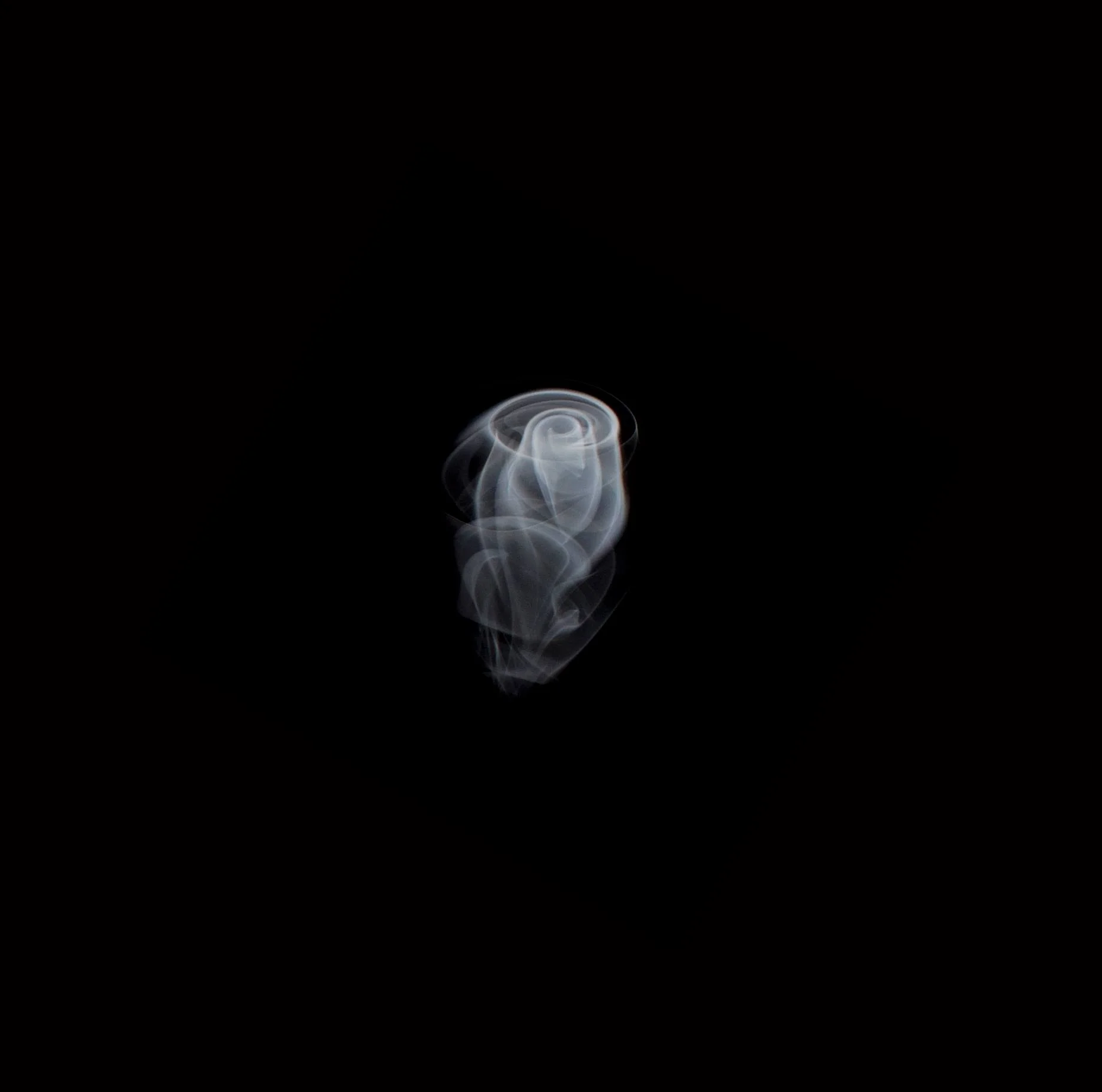 13640765_10206688597280098_4092848459186150320_o.jpg
