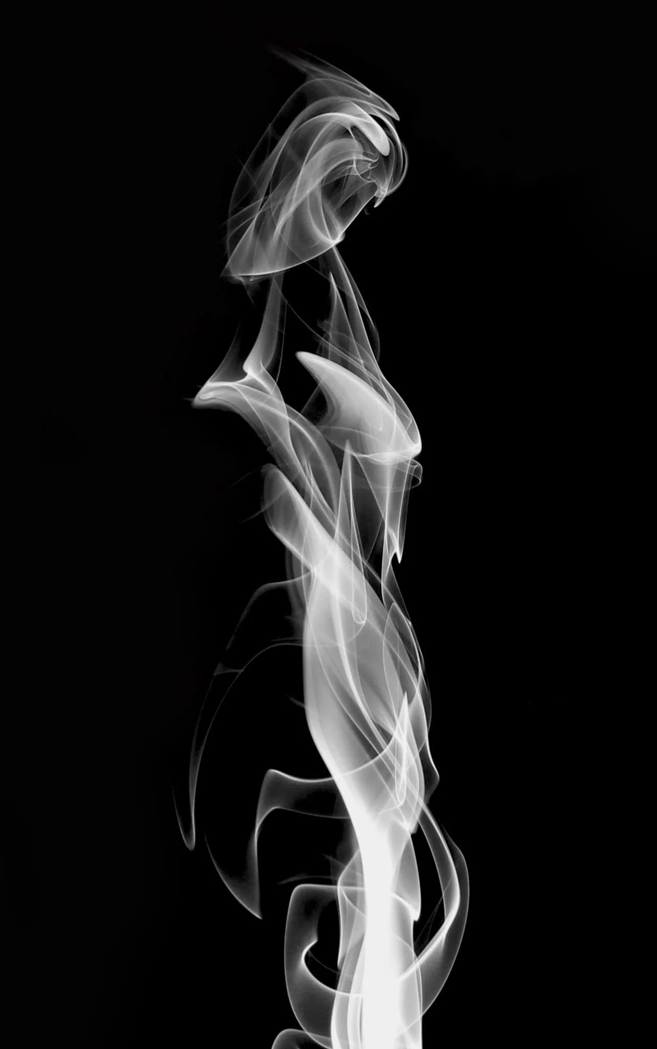 13613638_10206688596800086_6948221855212249324_o.jpg