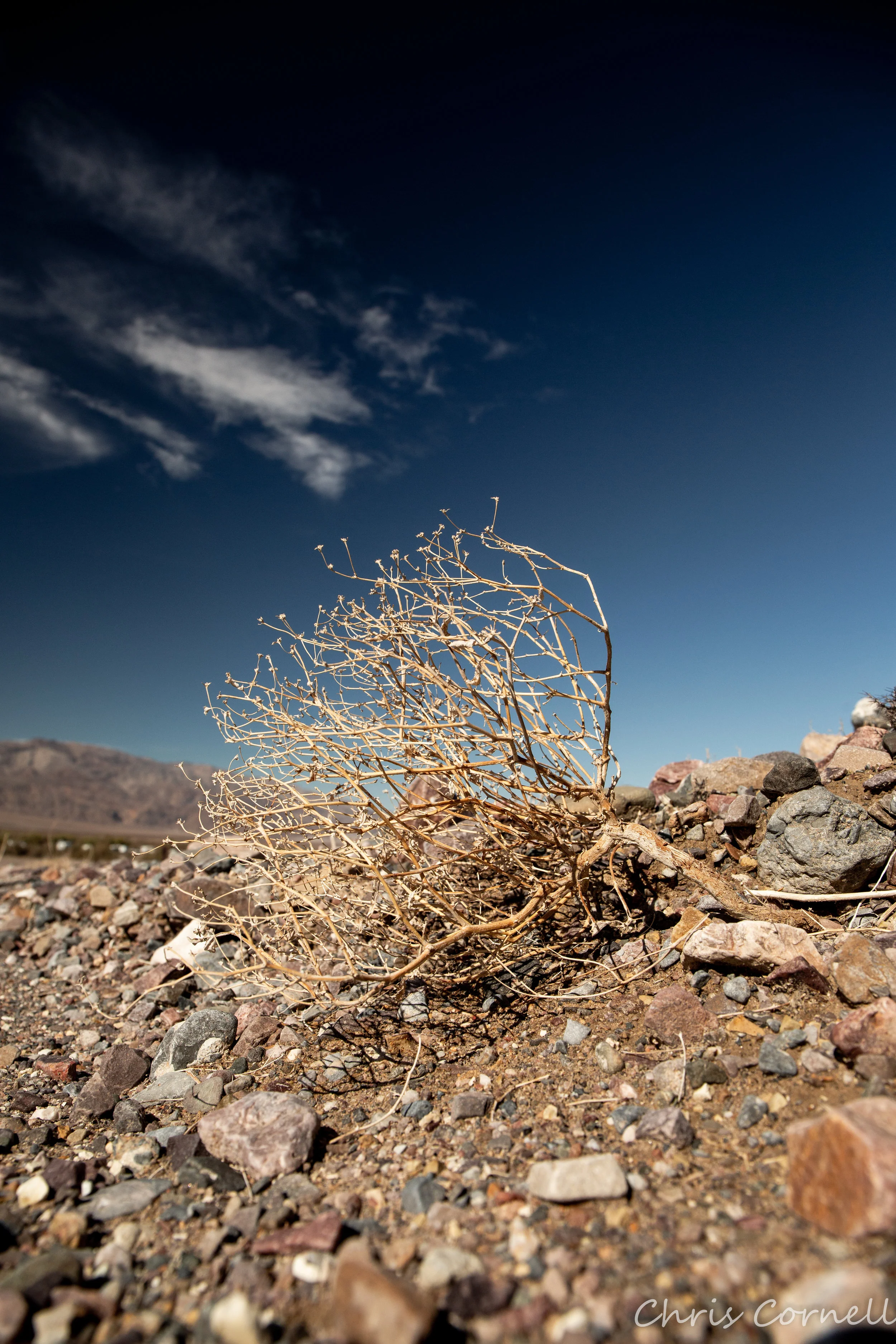 Death Valley 2019 (10 of 1)-15.jpg