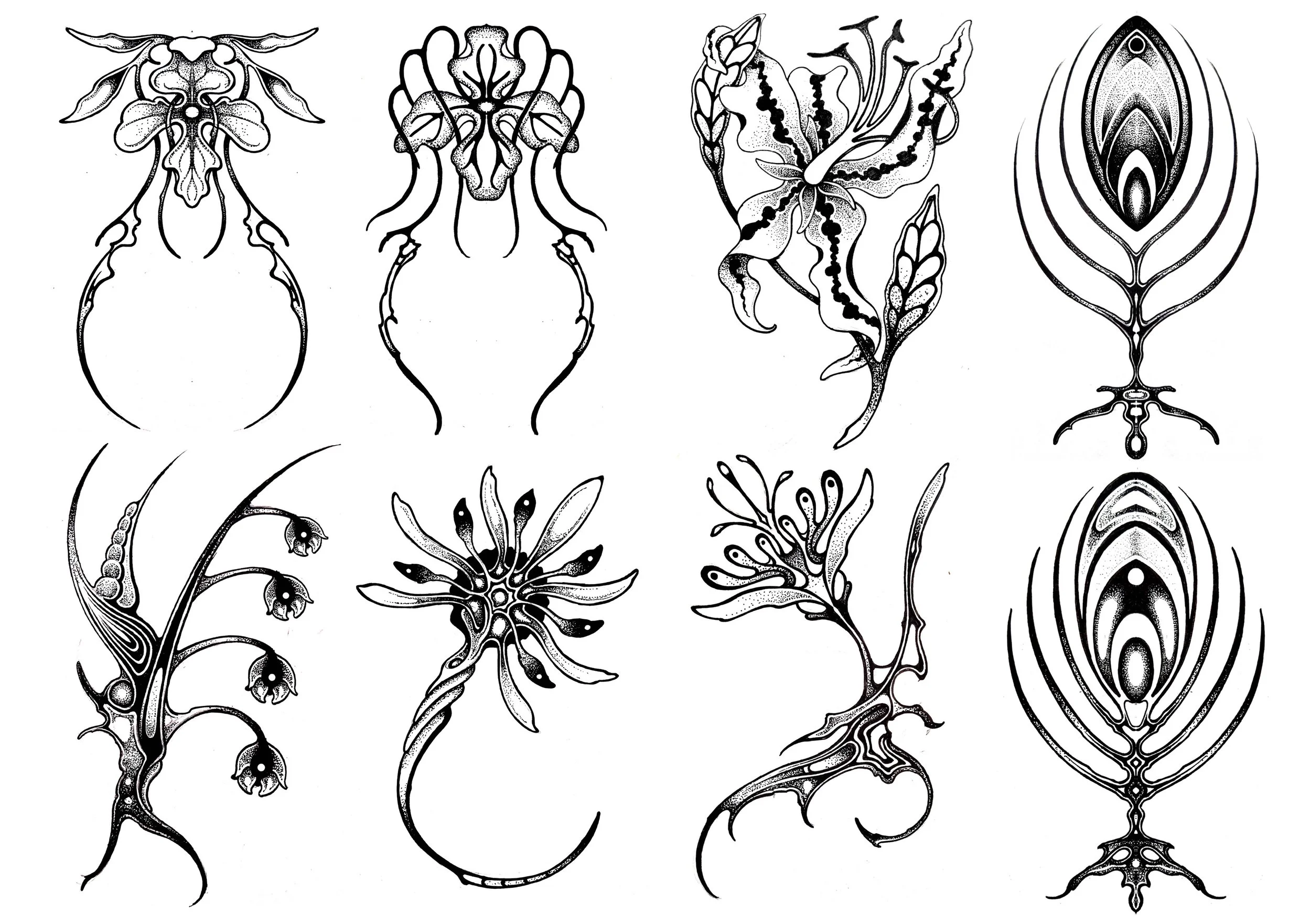 website flash n2022.jpg