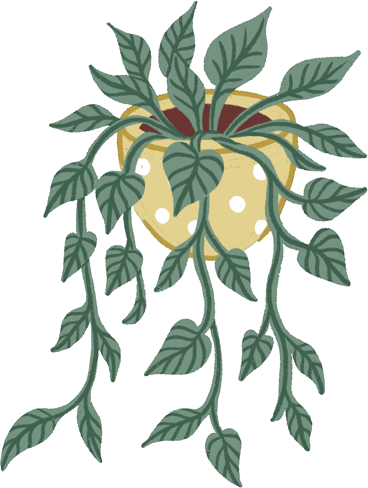 Pothos.gif