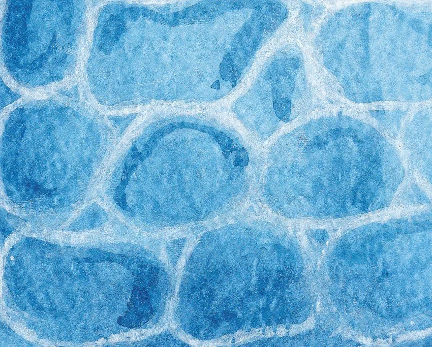 image throughout book.jpg