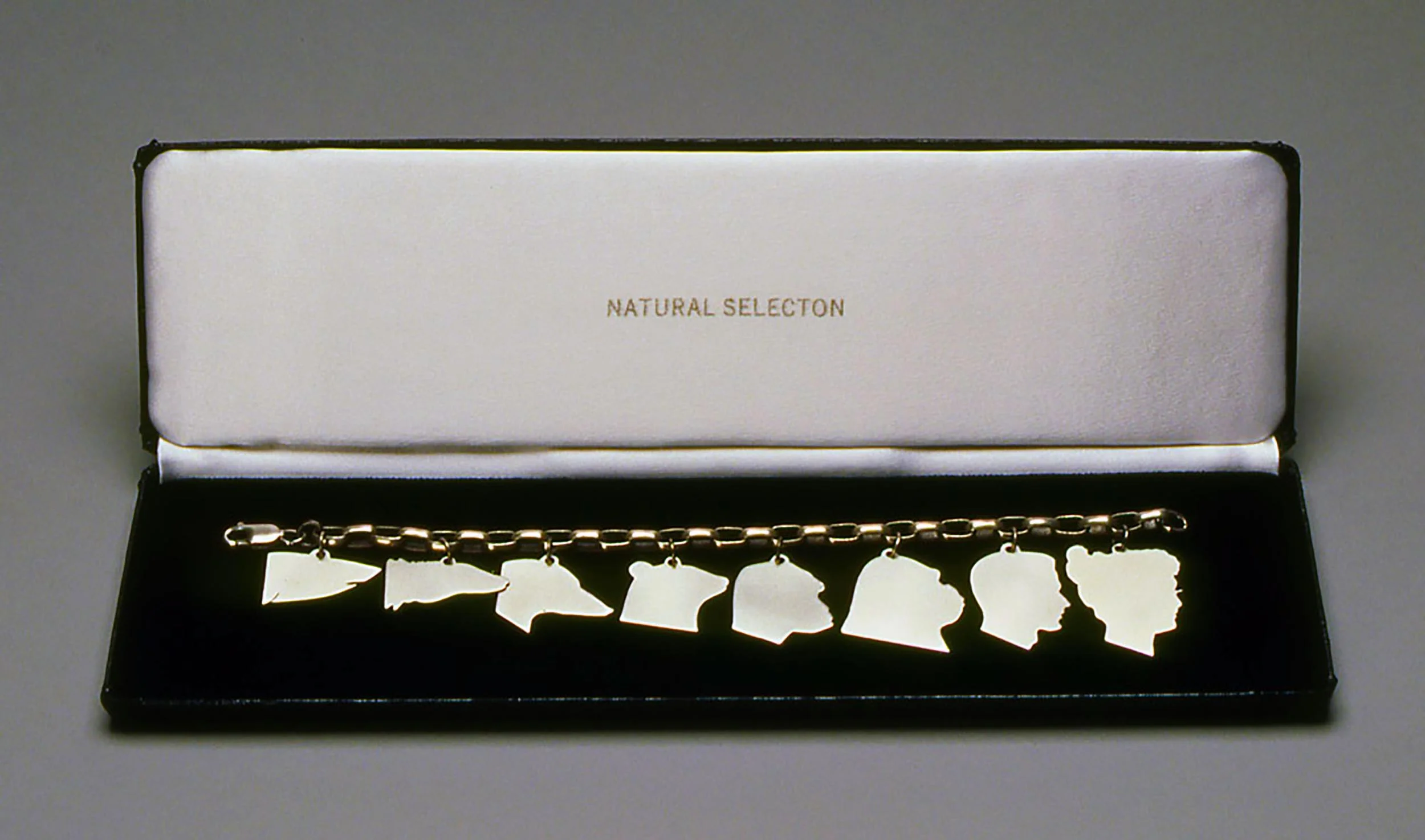 Natural Selection