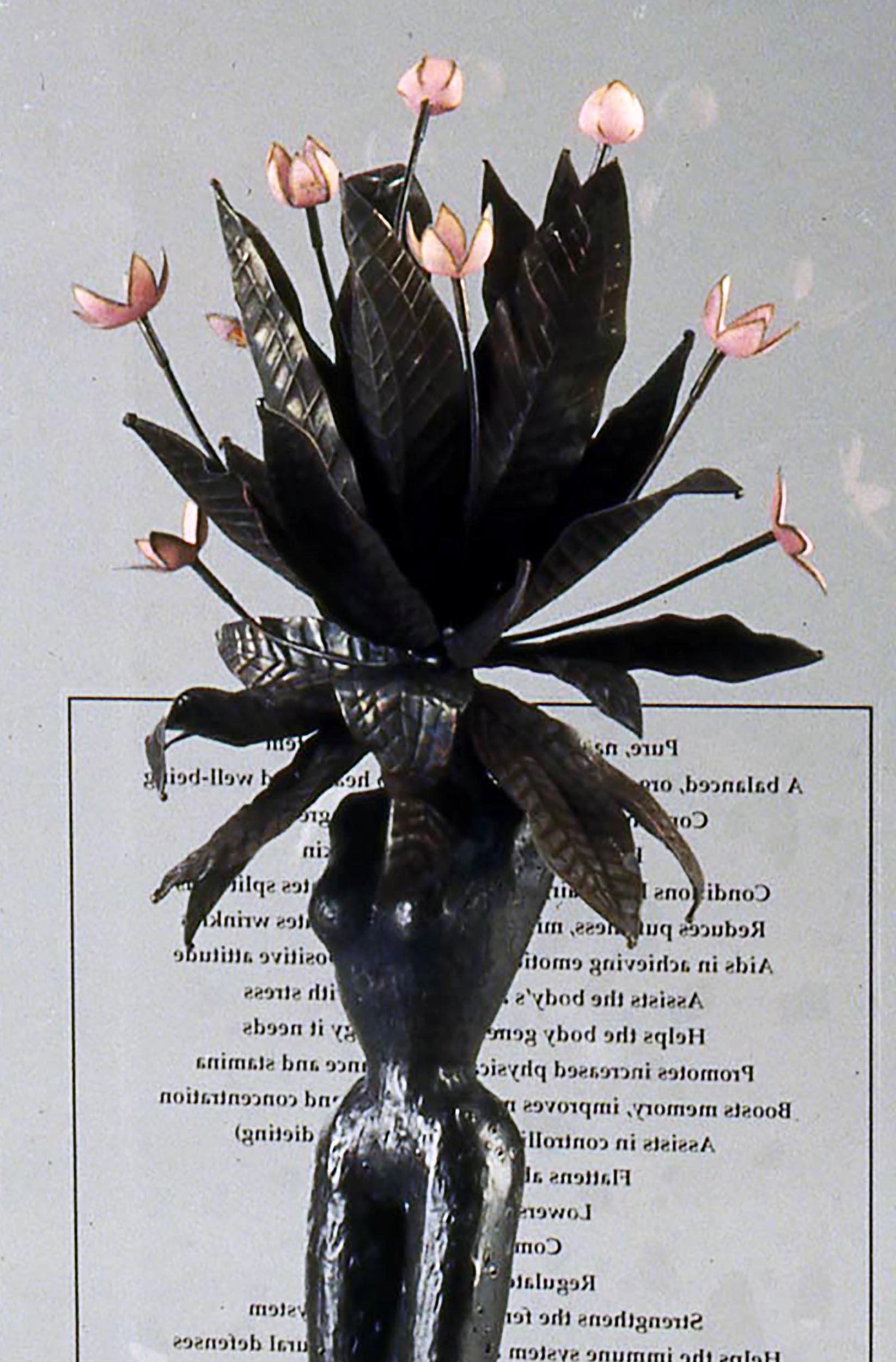 Herbal Fetish or Mandrake Barbie