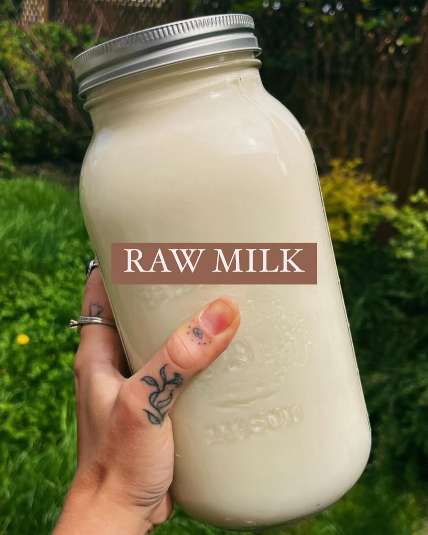 My fave superfood 🐮🥛🤍

.
.
.

#rawmilk #rawdairy #dairy #milk #superfood #health #wellness #healthylifestyle #nutrition