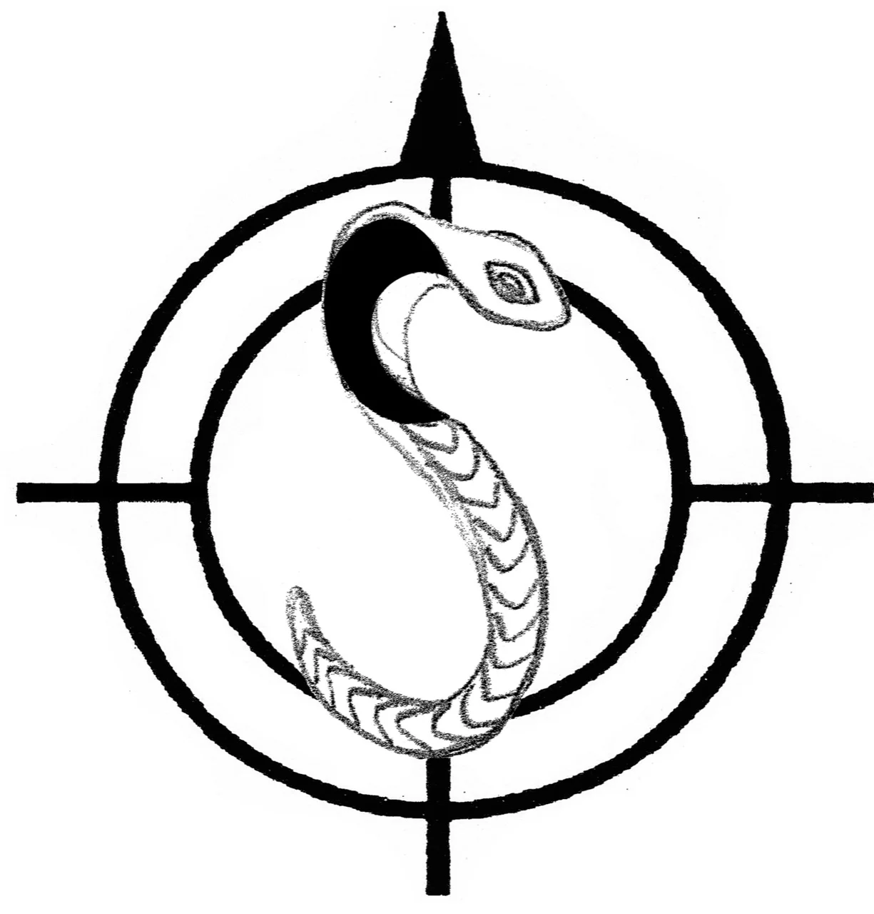Compass_Cobra.jpg