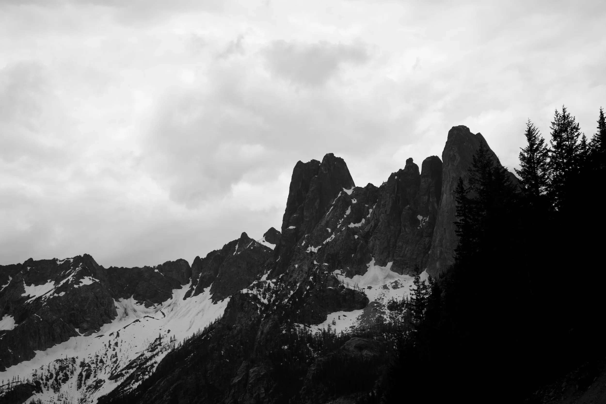 DSC09423.jpeg