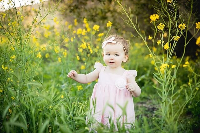 I love Spring!  Flowers are staring to bloom!  Let's get your session on the calendar!!!