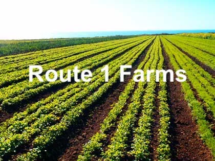 Copy of Route 1 Logo