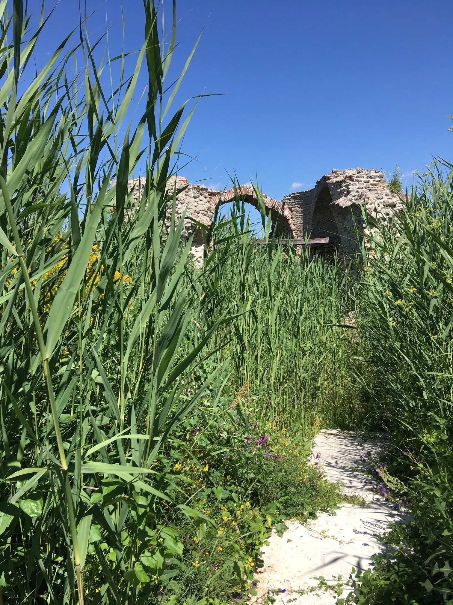    Agios Nikolaus   Byzantine site of  Borderless II sound walk and performance of Kassia from the crypt. Audience wearing goatbells.  2019 June 