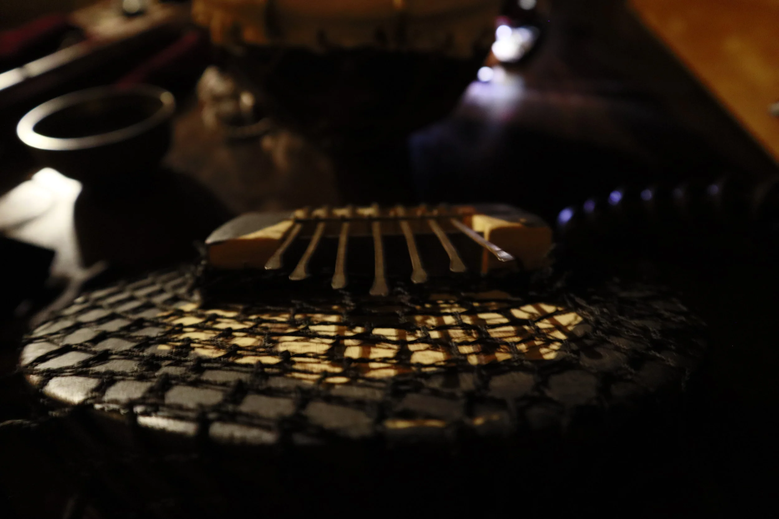    The tortoctopus  ,  Mbira detail, September,  2019 