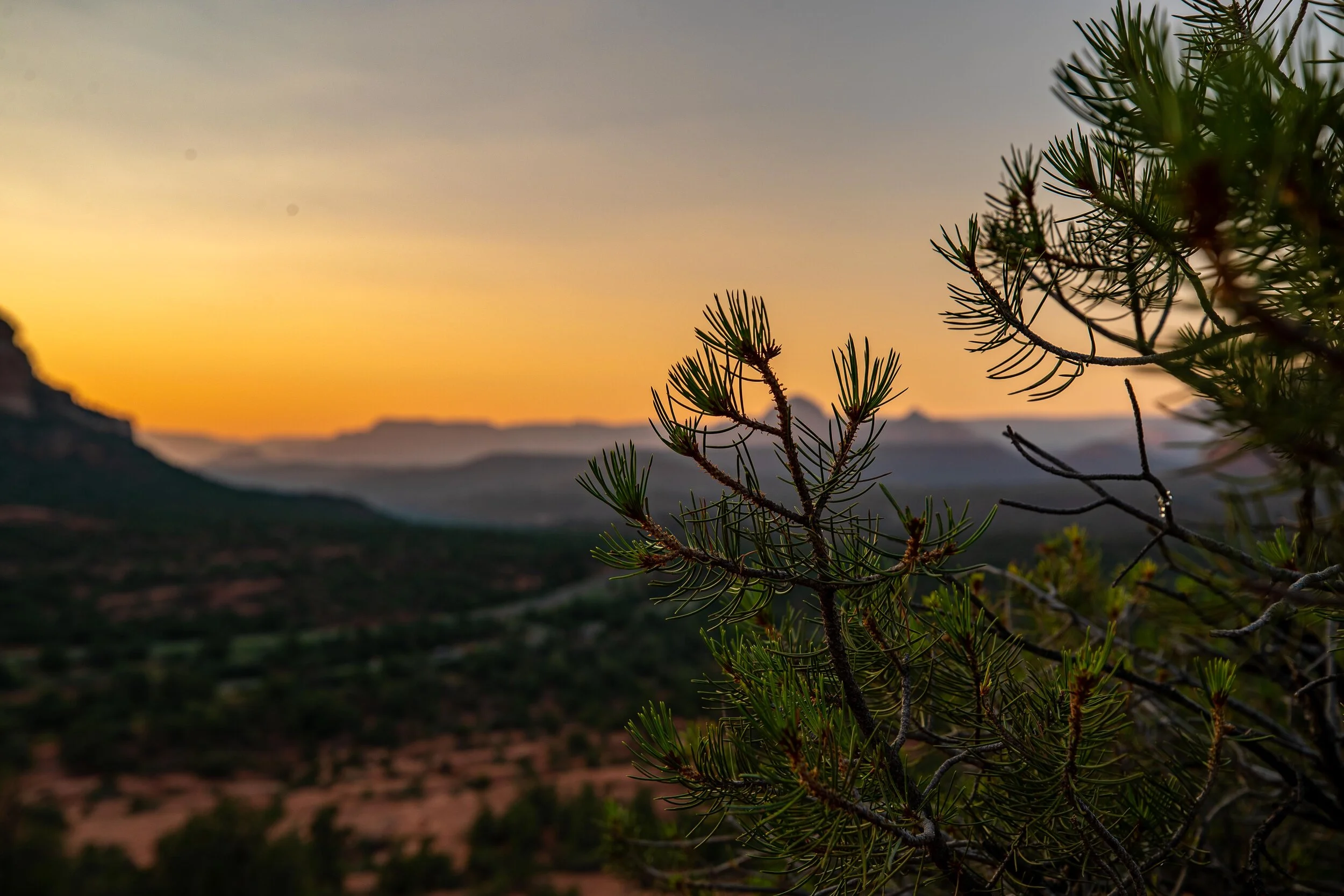 Northern Phoenix-6.jpg