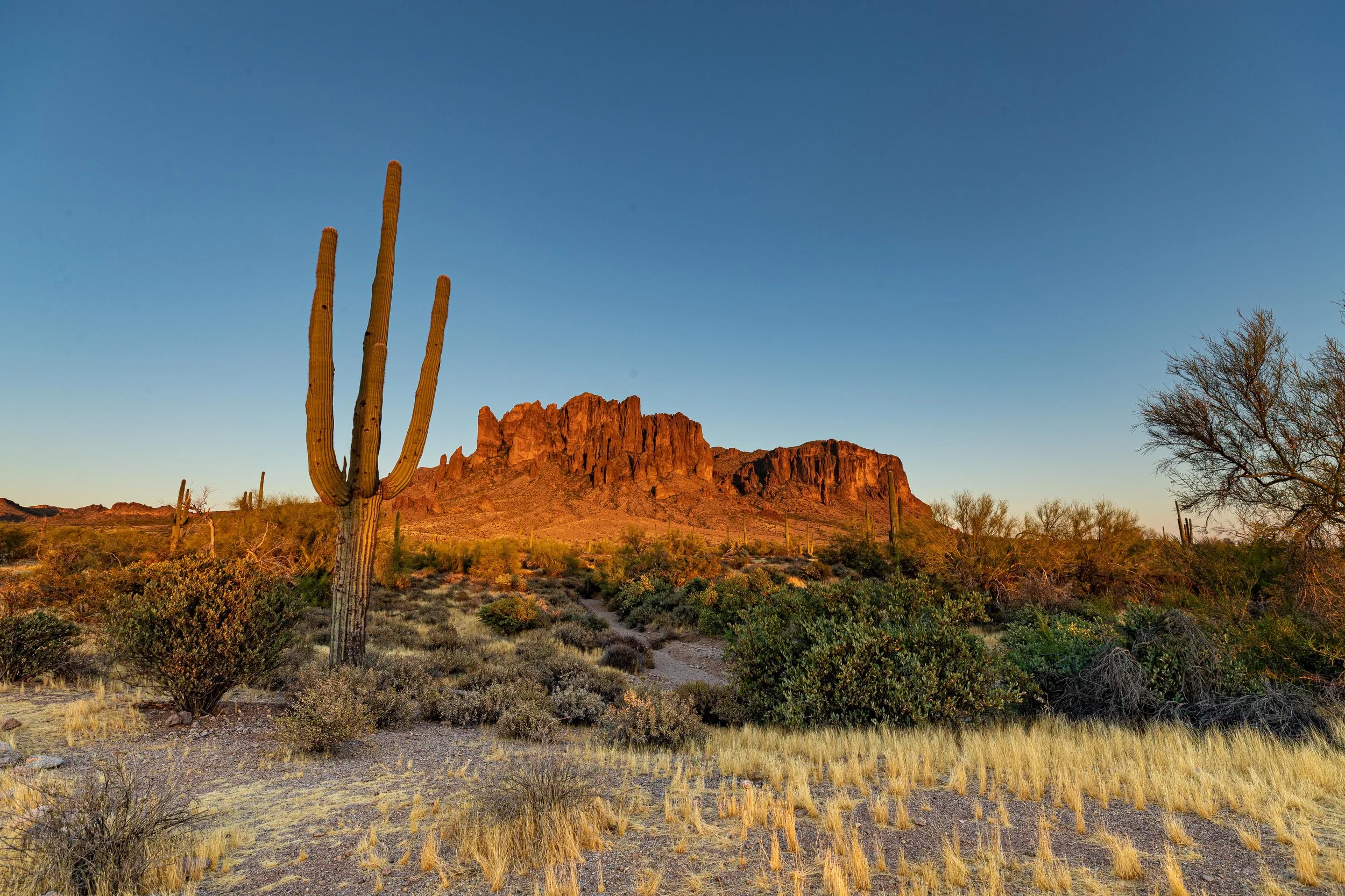 The Superstition Mountains