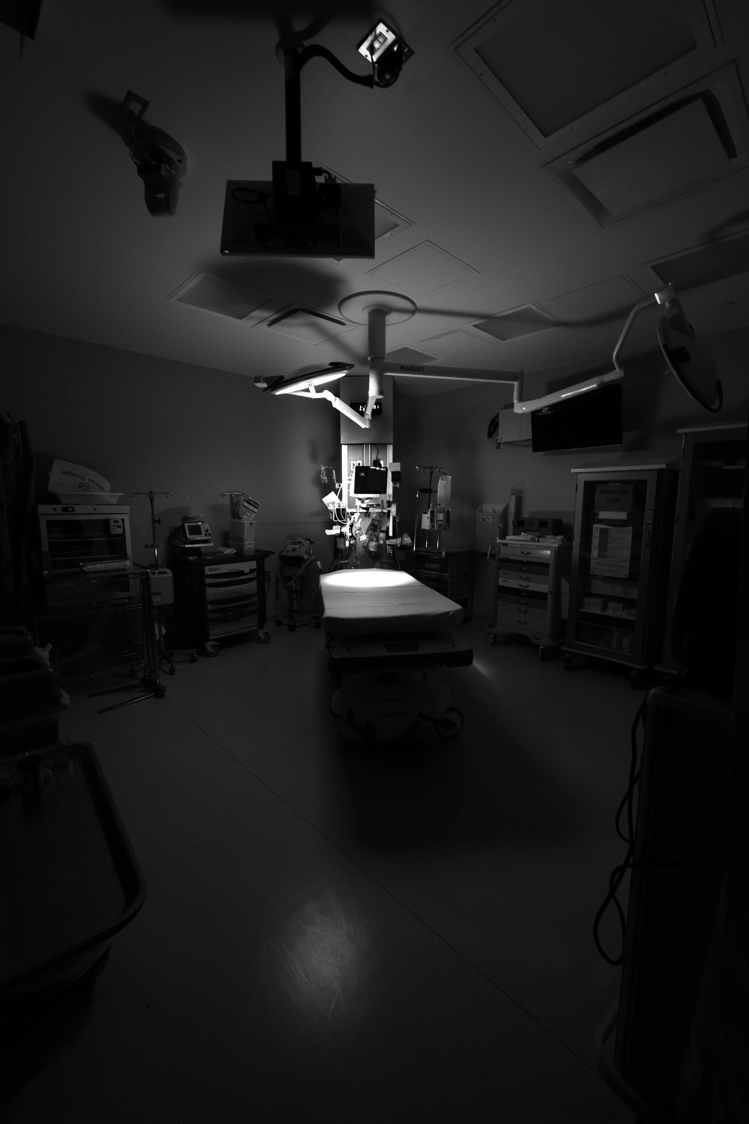 PhotoContest-624.jpg